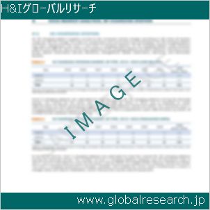 グローバルリサーチ調査レポートのイメージ